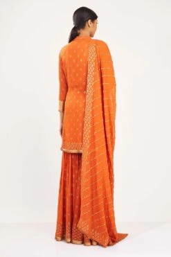Nakul Sen Organge Chiffon Sharara With Bandhej Sequins Work -Deals Toggora Store 1001 5 1