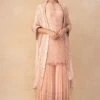 Nakul Sen Pink Sequin Embellished Sharara Set -Deals Toggora Store 14823ns4 1