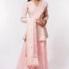 Devika Bhayana Pink Embroidered Sharara Set -Deals Toggora Store 44db3 1 1